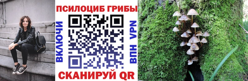 Галлюциногенные грибы мицелий  как найти закладки  Добрянка 