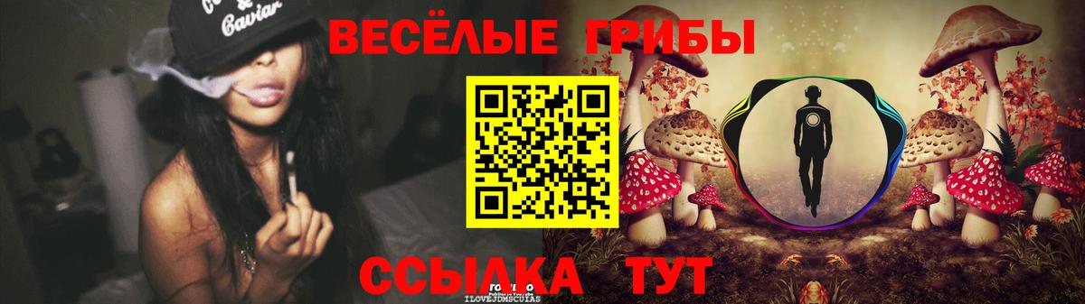 Псилоцибиновые грибы мицелий Добрянка